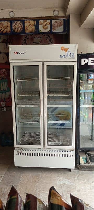 Caravell double door freezer/Double Door Chiller/double door fridge 1