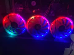 3 RGB fans molex connector