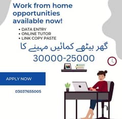 online jobs/full time/part time/simple typing jobs for boys and girls