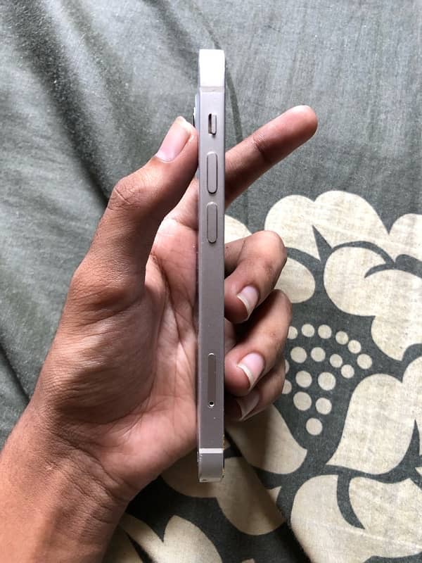 iPhone 12 Mini 3