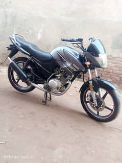 YBR 125