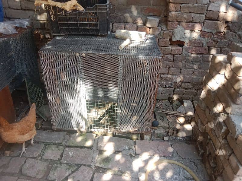 cage for hens , pigeons,or rabbits 0