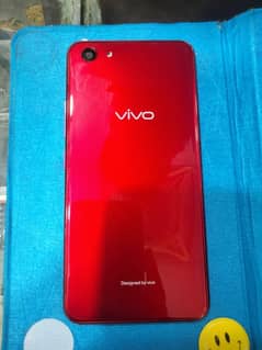 vivo