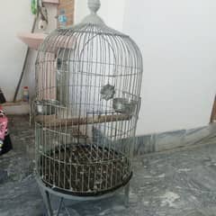 Gray parrot & macaco & raw parrot cage