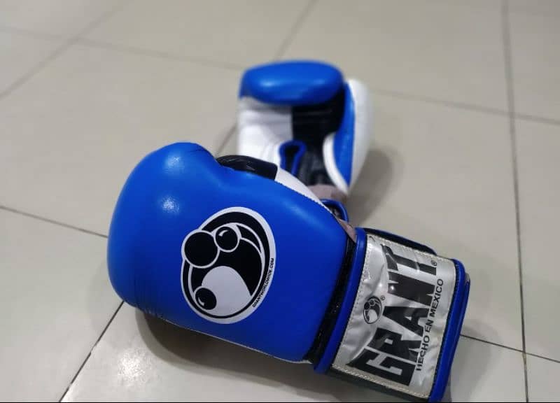 Boxing Gloves Bag Punching Bag Sand bag for training 9