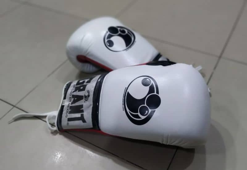 Boxing Gloves Bag Punching Bag Sand bag for training 10