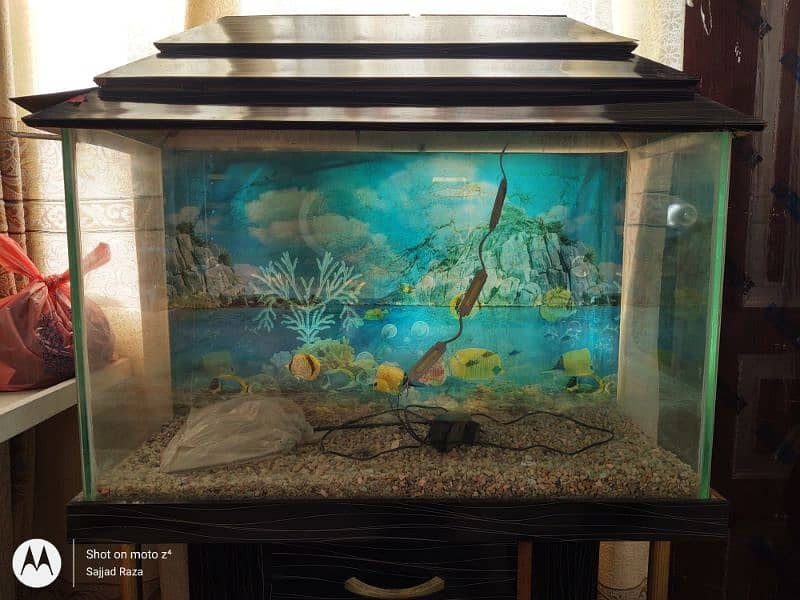 Fish Aquarium 2.5 feet 0