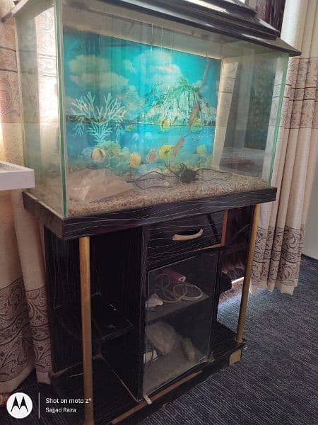 Fish Aquarium 2.5 feet 2