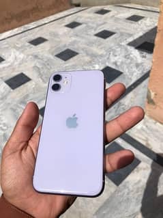 I phone 11 pta approved