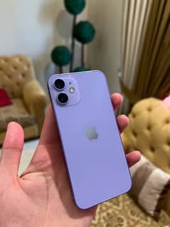 iphone 12 mini