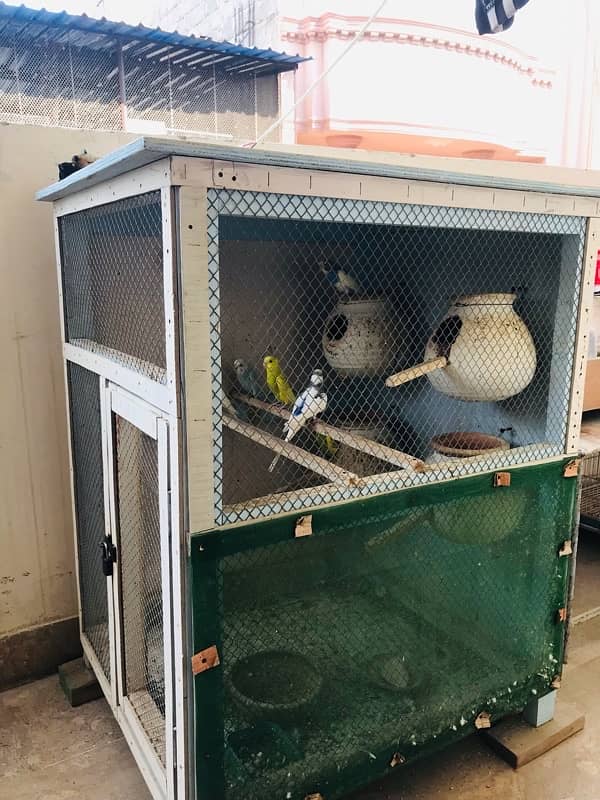 birds cage for sale 2