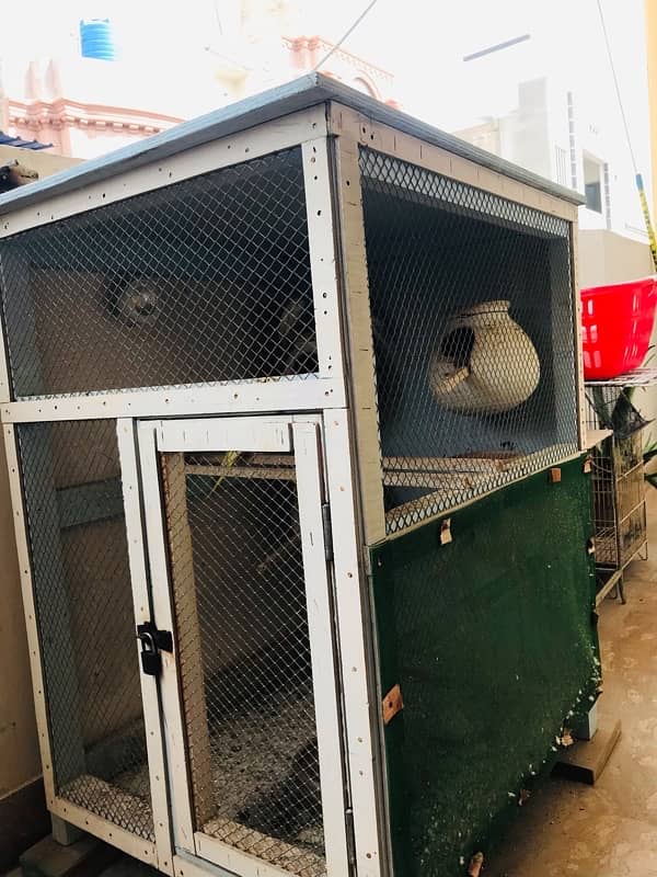 birds cage for sale 6