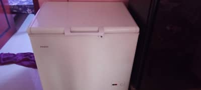 HAIER Deep Freezer