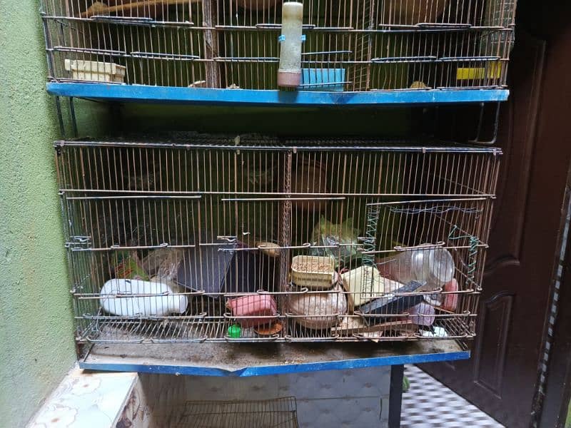 Cage for birds 0