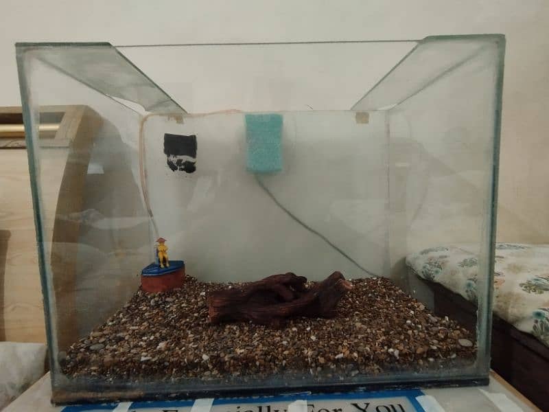 fish aquarium for sale 3