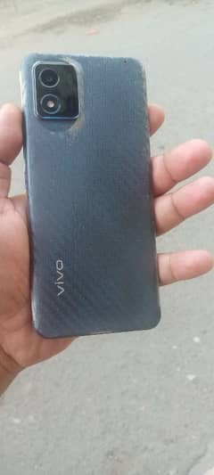 vivo