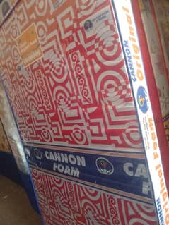 cannon foam single mattresses