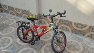 Thunder bicycle with gear system in a good condition 0