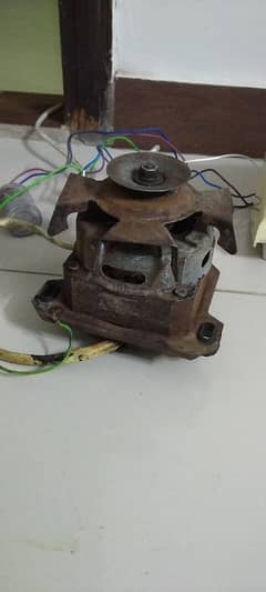 Washing Machine Motor