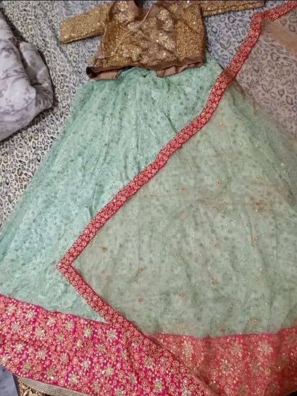 Dress for sell (Lehnga Cholli) 3