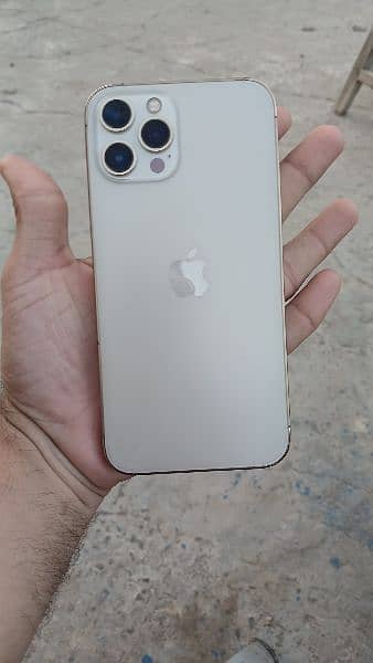 iPhone 12pro max 256 Pta approved 5