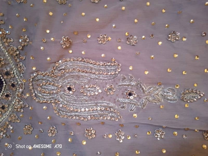 walima maxci 9