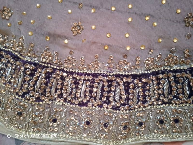 walima maxci 12