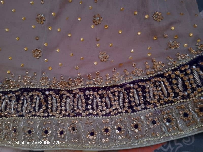 walima maxci 15