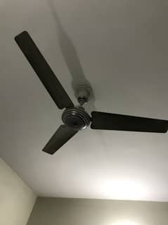 Indus ceiling fans 6 QTY  used