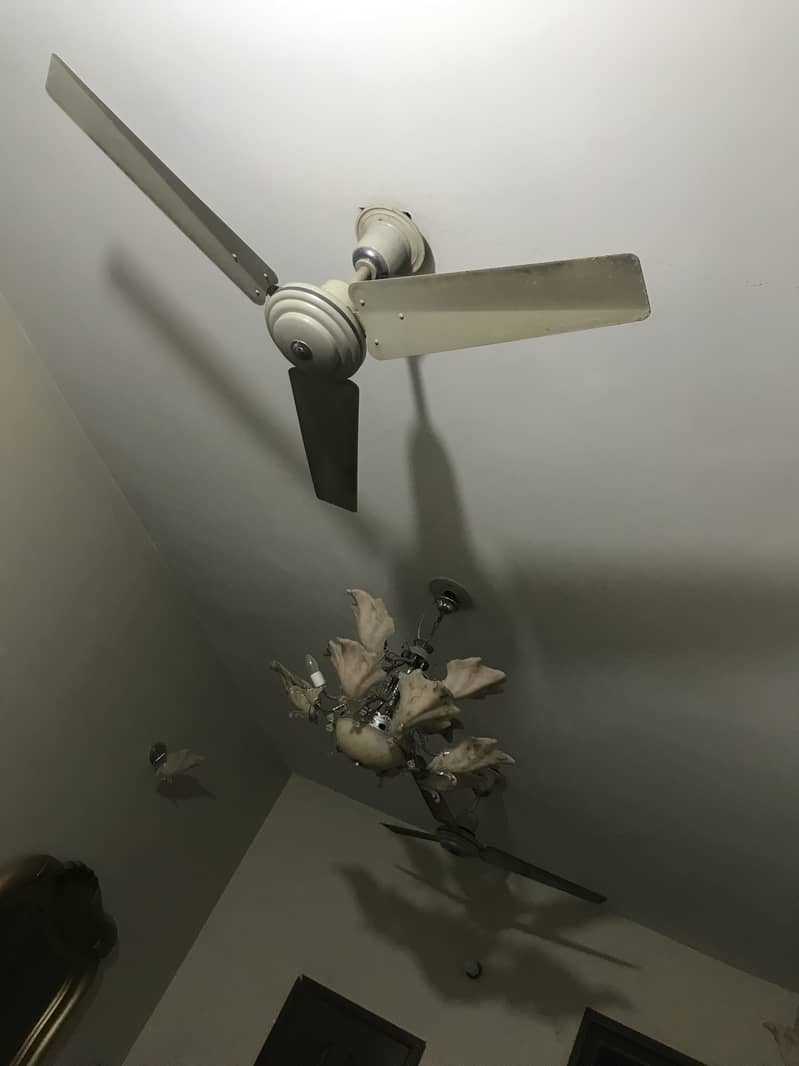 Indus ceiling fans 6 QTY  used 2