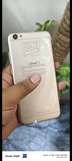 Vivo