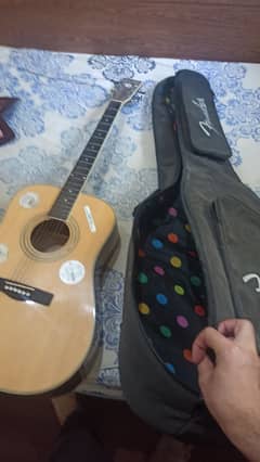 Acoustic guitar