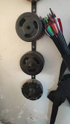 weight plates and bars for sale