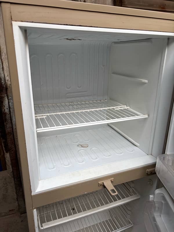 pel fridge medium size 1