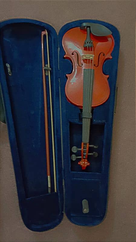 Violin for Sale 2