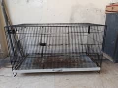 cage for hens and birds