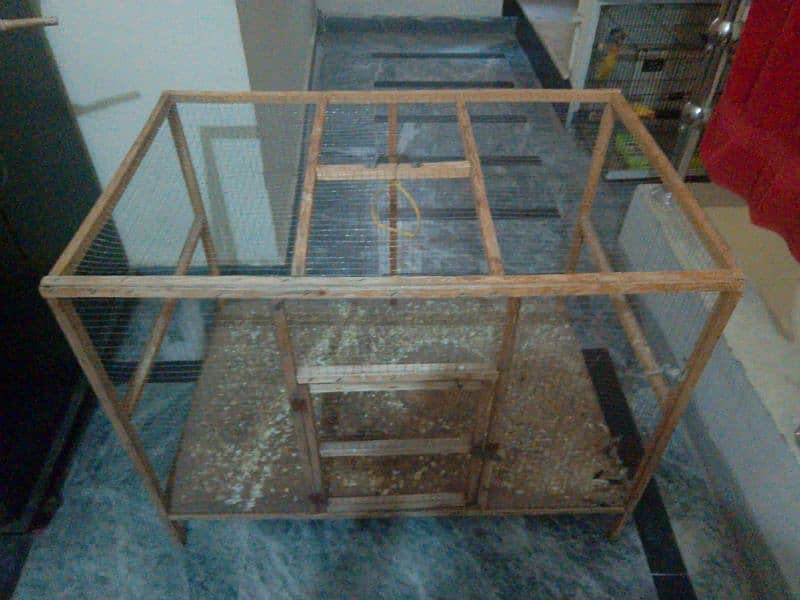 bird cage 1