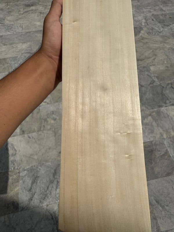 Top quality hard ball bats. 5