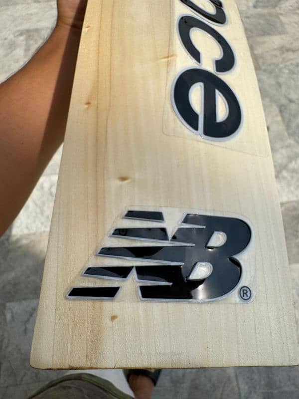 Top quality hard ball bats. 11