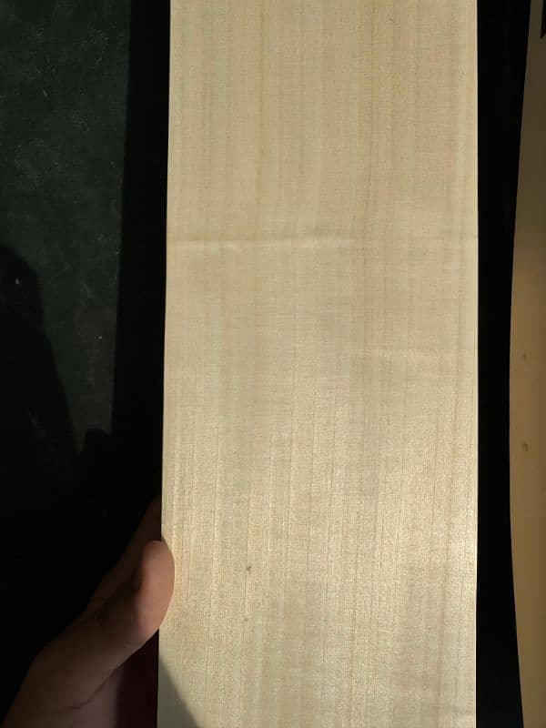 Top quality hard ball bats. 12