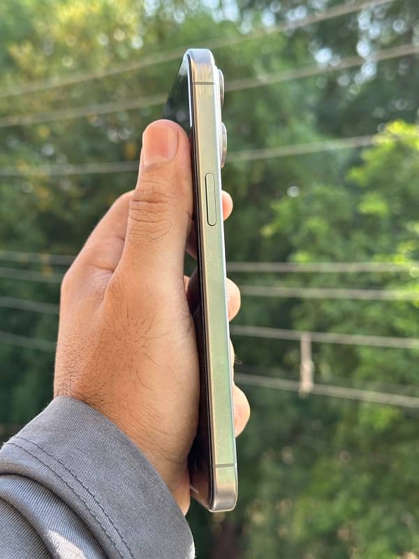 iPhone 15 Pro Max 256GB Natural Titanium 3