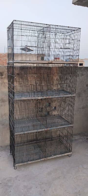 8 portion Bird cage 1