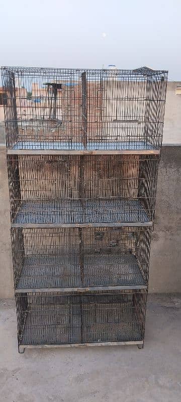 8 portion Bird cage 2