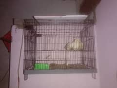 4 cage 2/1.5 in new condition reasonable price