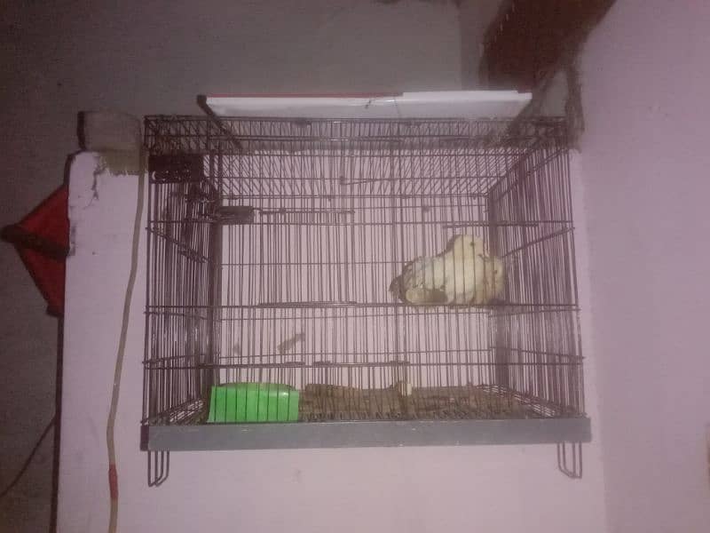 4 cage 2/1.5 in new condition reasonable price 0