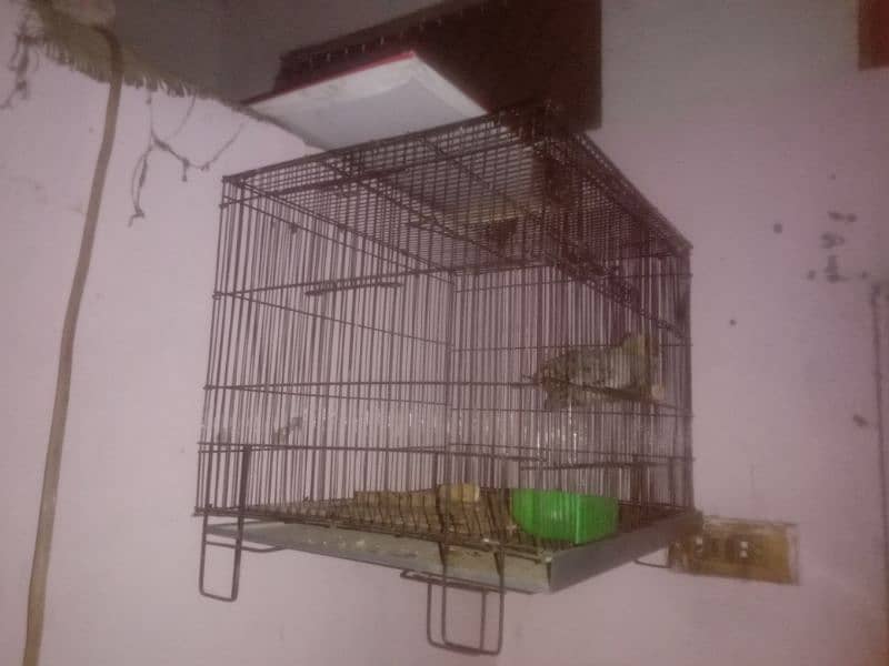 4 cage 2/1.5 in new condition reasonable price 3