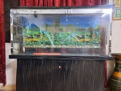 Fish Aquarium for sale