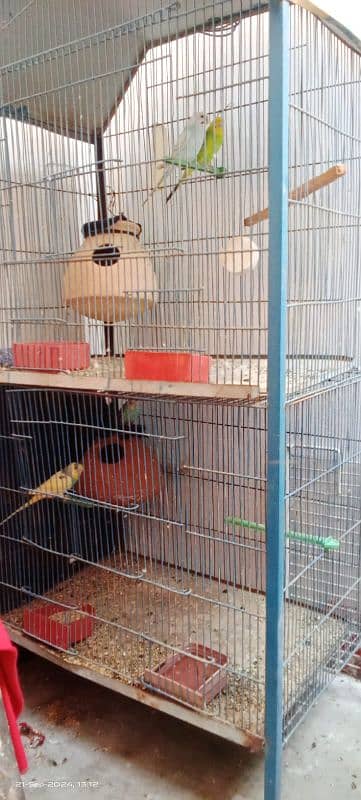 cage with two pair Australian cage good condition 0