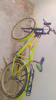 Bicycle