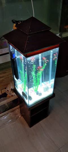 wood tower aquarium